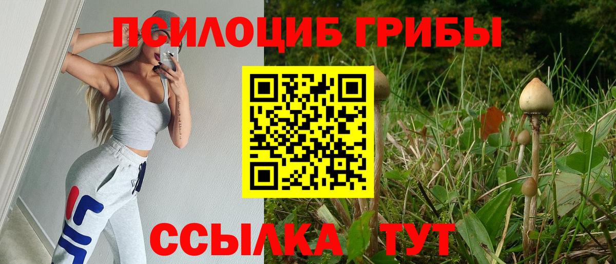 Псилоцибиновые грибы мицелий  Галлюциногенные грибы GOLDEN TEACHER  Воркута  Вход с VPN 